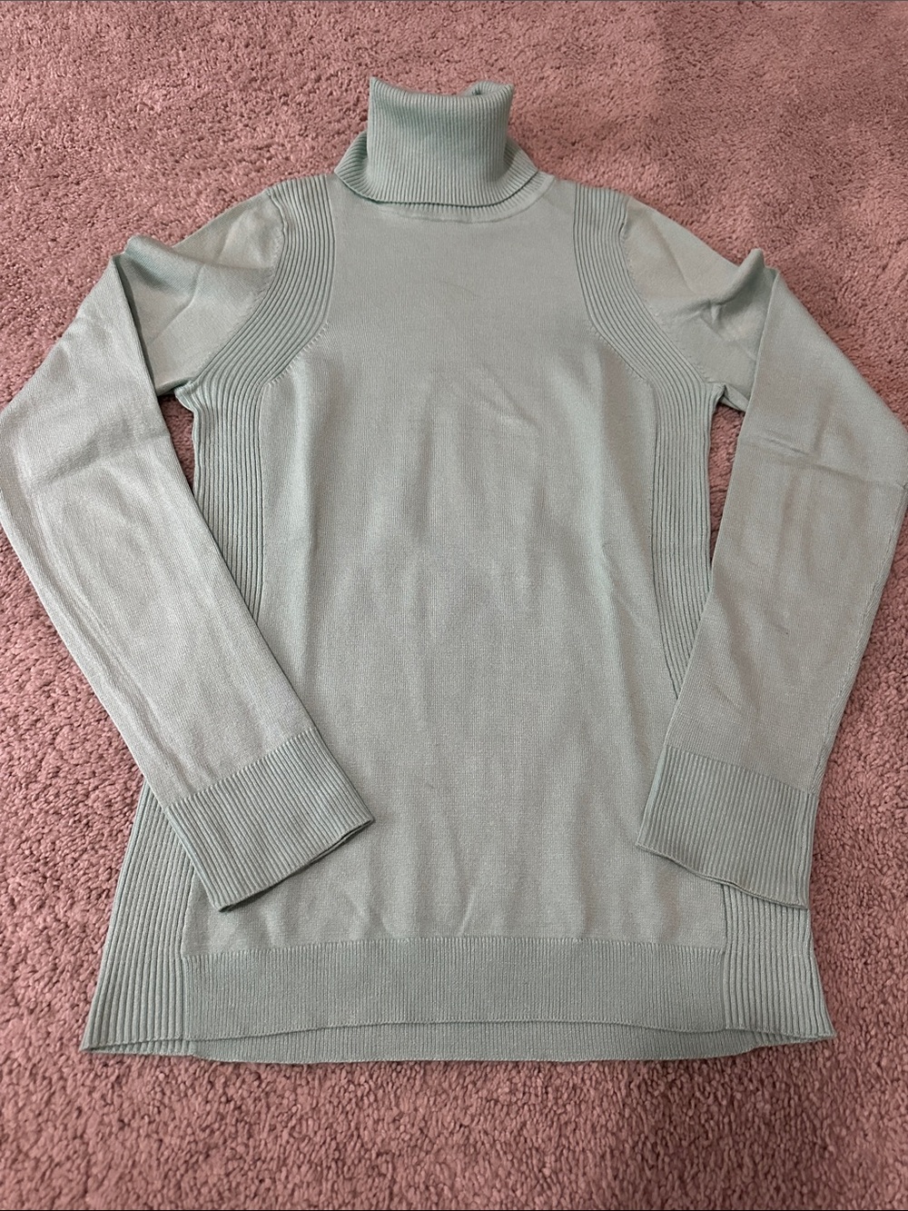 The Limited Sage Green Turtleneck Sweater